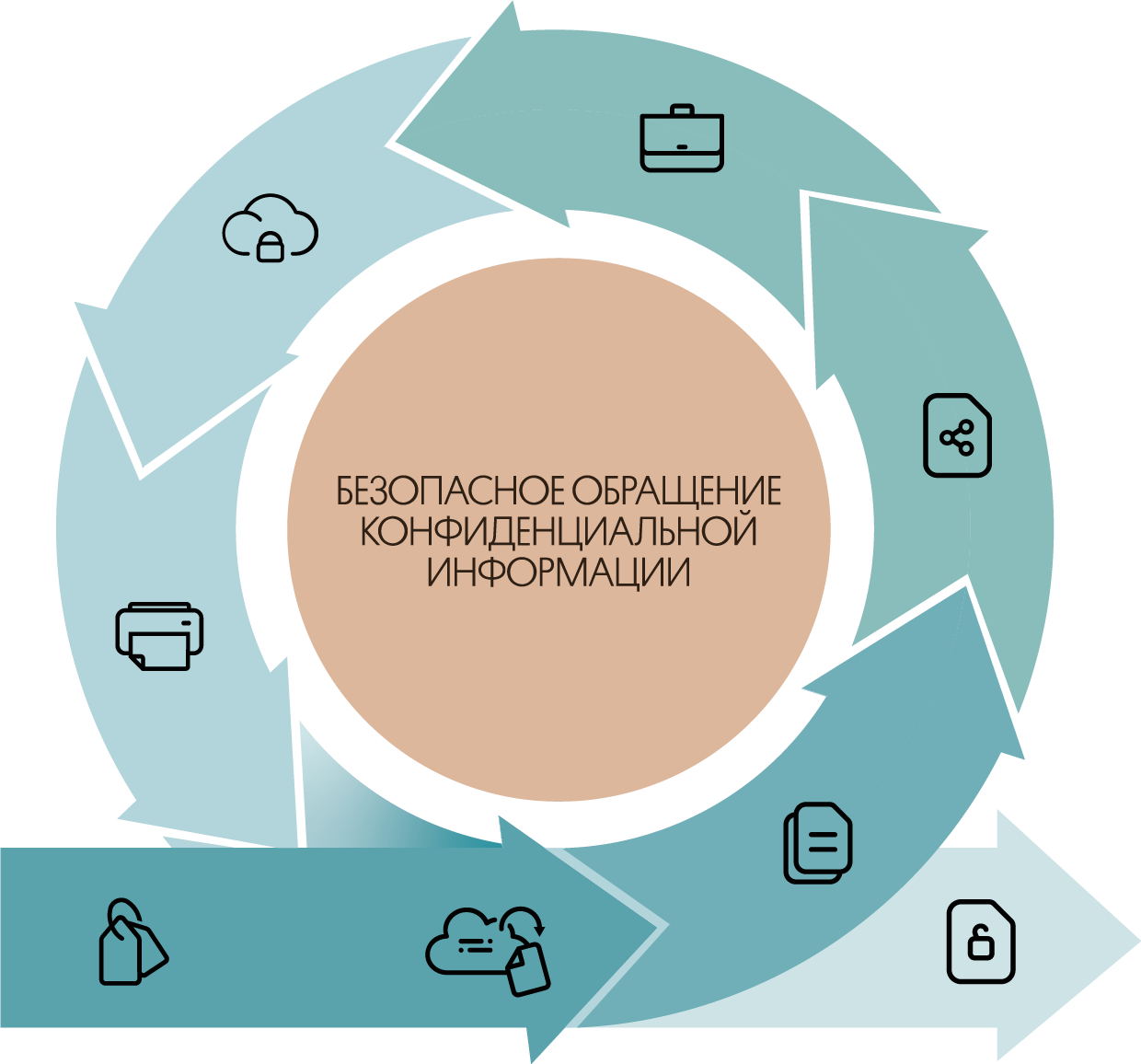 Data Lifecycle Management